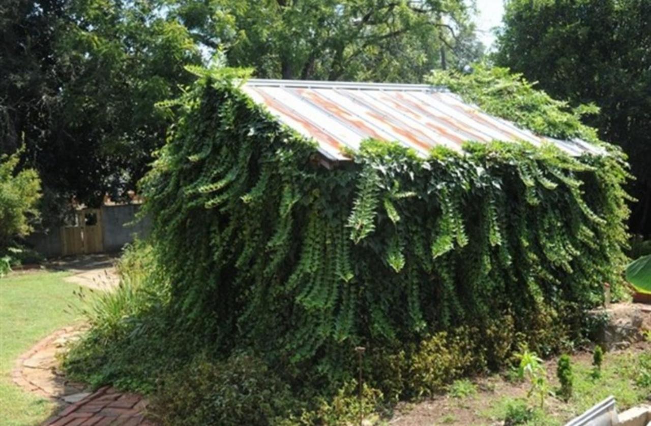 Clevedale Historic Inn And Gardens Spartanburg Bagian luar foto